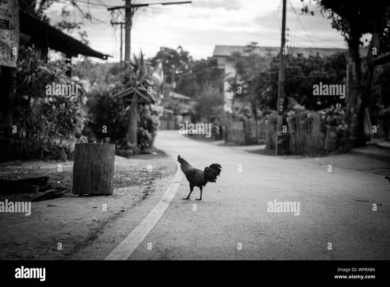 Chicken road oficial in Spain